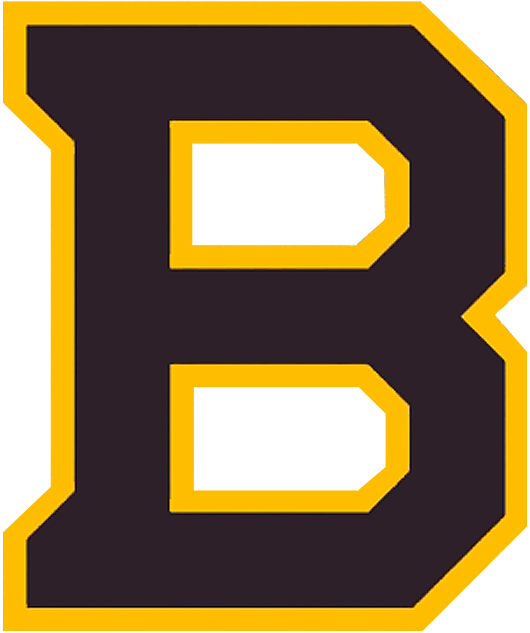 Boston Bruins 2019 Special Event Logo iron on transfers for T-shirts